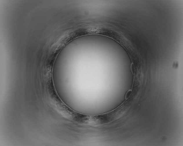 X0000113210601200909241426