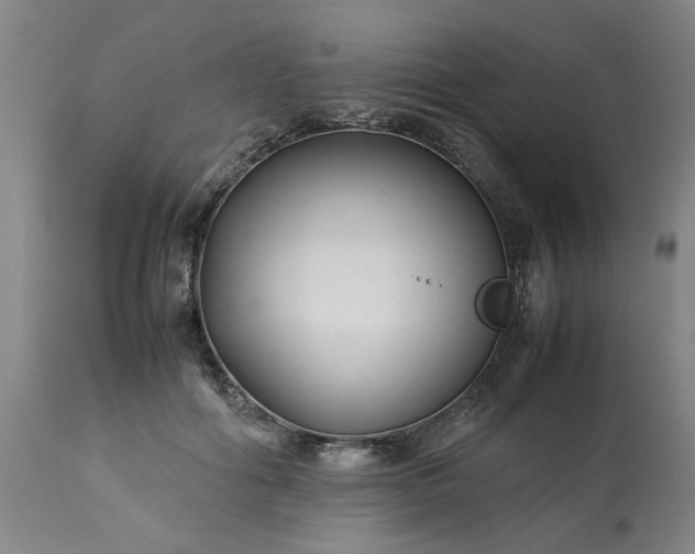 X0000113210602200909241426