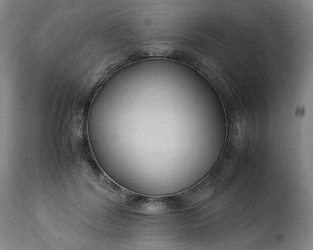 X0000113210604200909241426