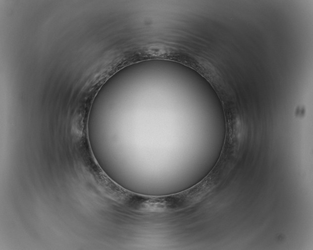 X0000113210606200909241426