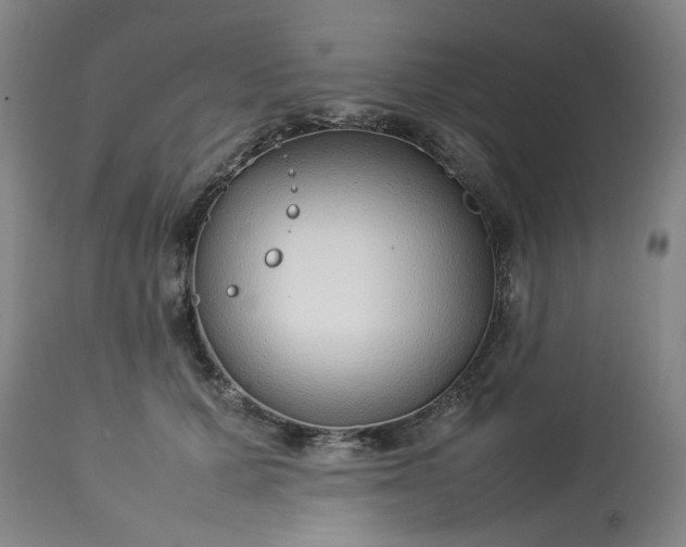 X0000113210607200909241426