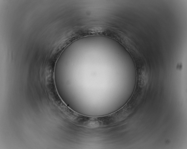 X0000113210608200909241426