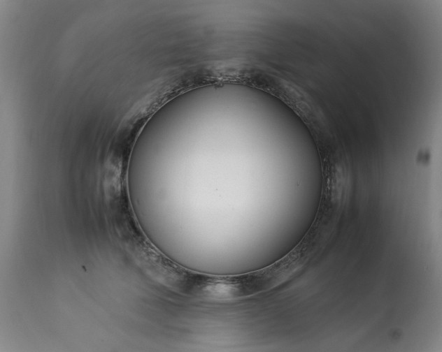 X0000113210610200909241425