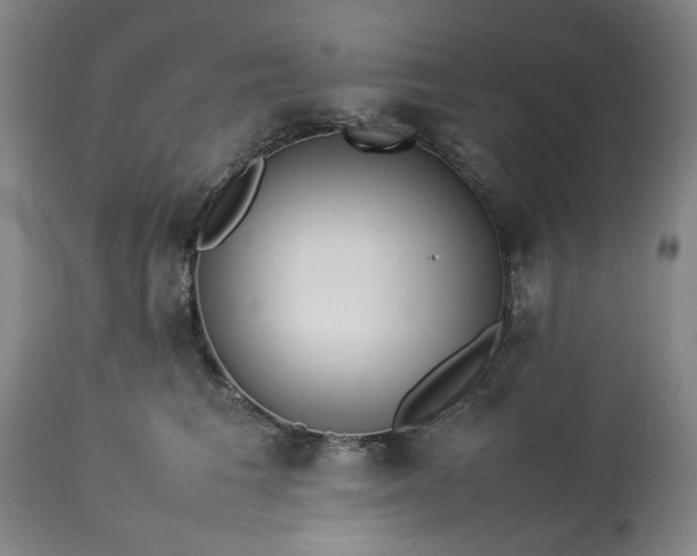 X0000113210613200909241425