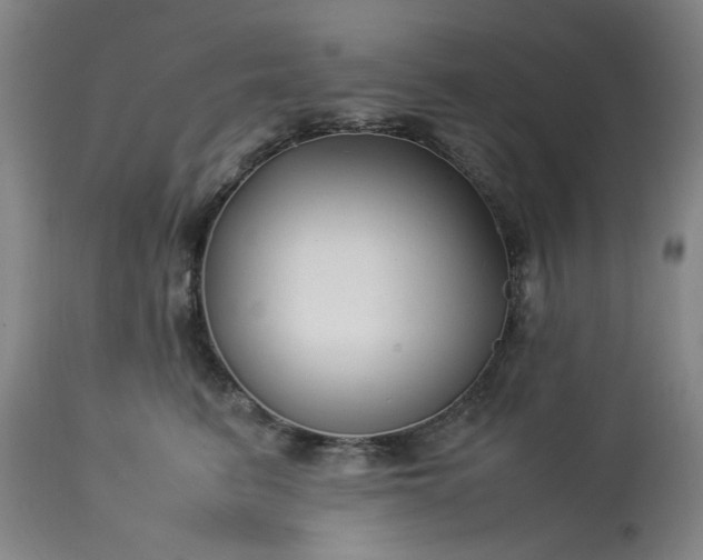 X0000113210615200909241425