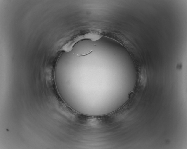 X0000113210616200909241425