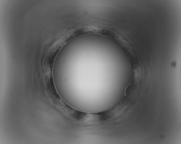 X0000113210617200909241425