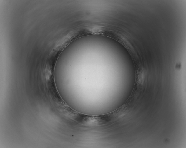 X0000113210618200909241425