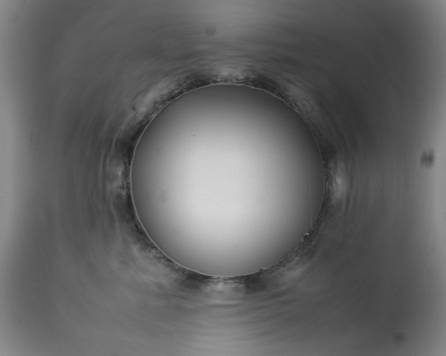 X0000113210619200909241425