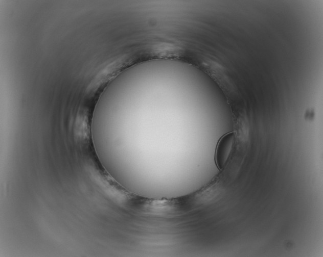 X0000113210622200909241425