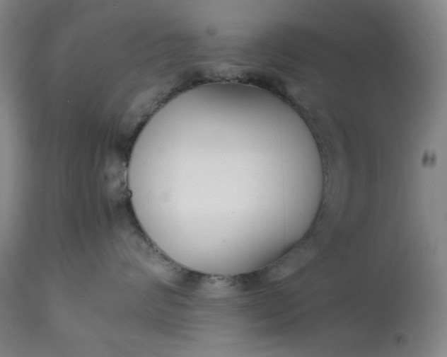 X0000113210624200909241425