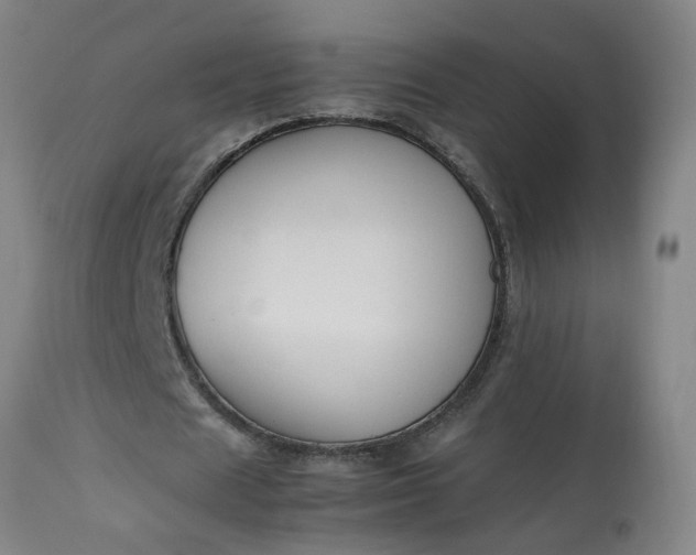 X0000113210625200909241424