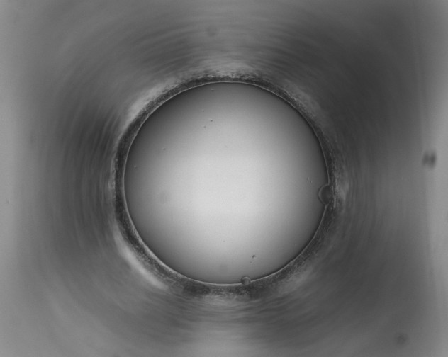 X0000113210630200909241425