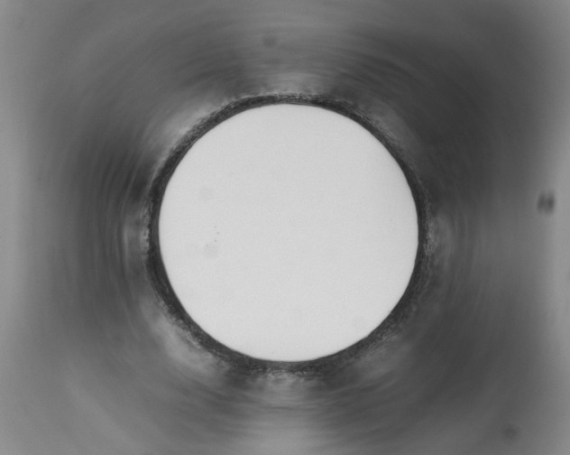 X0000113210632200909241425