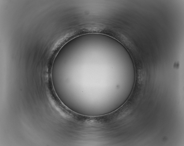 X0000113210634200909241425