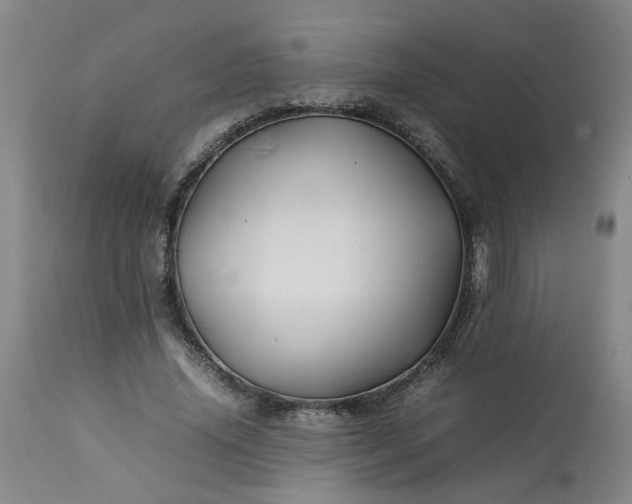 X0000113210636200909241425