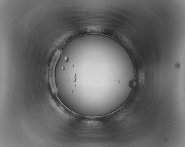 X0000113210637200909241425