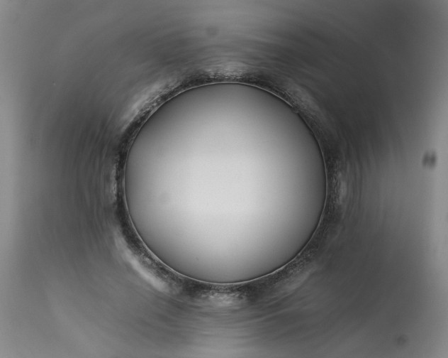 X0000113210638200909241425