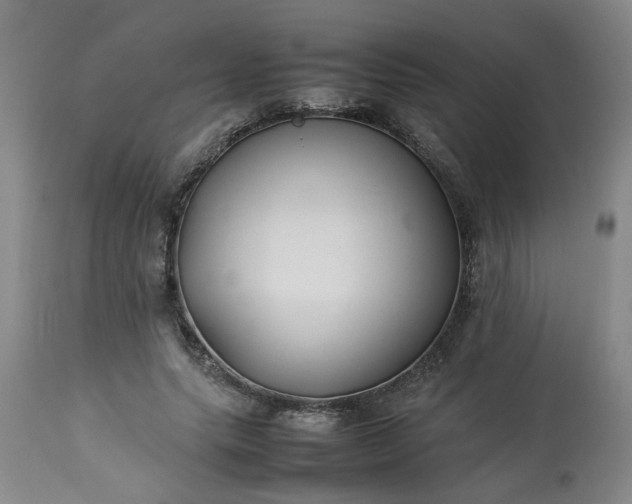 X0000113210639200909241425