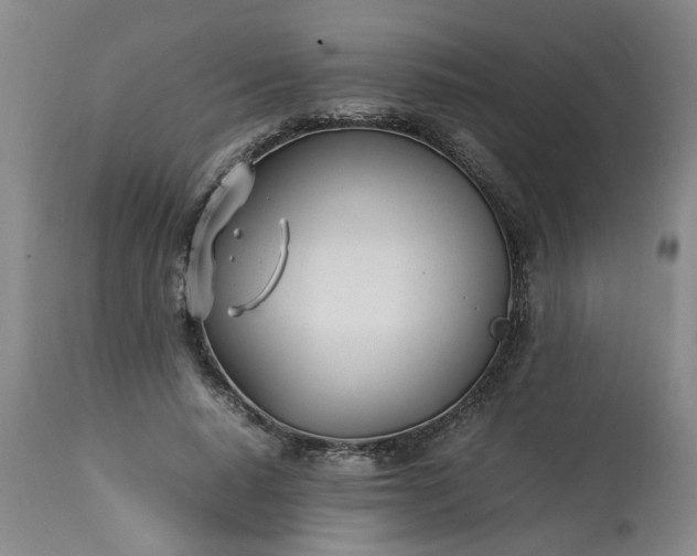 X0000113210640200909241425