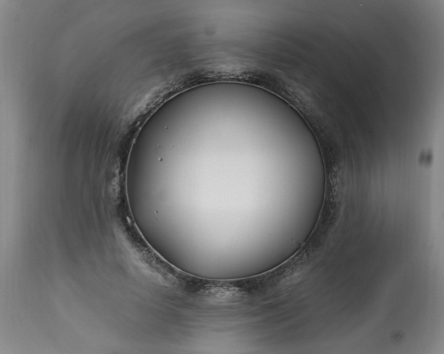 X0000113210642200909241425