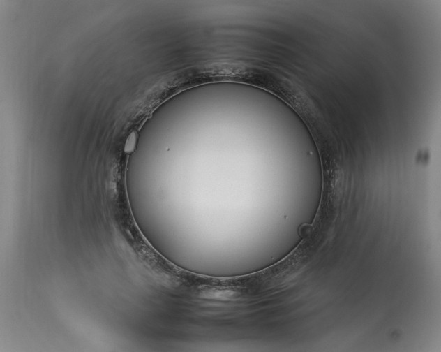 X0000113210643200909241425