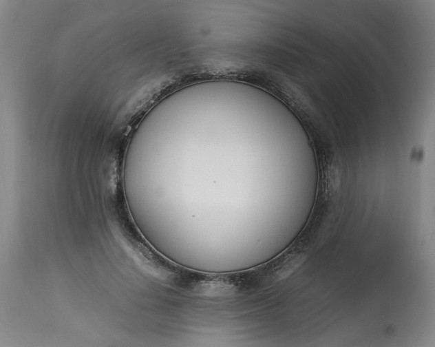 X0000113210644200909241425