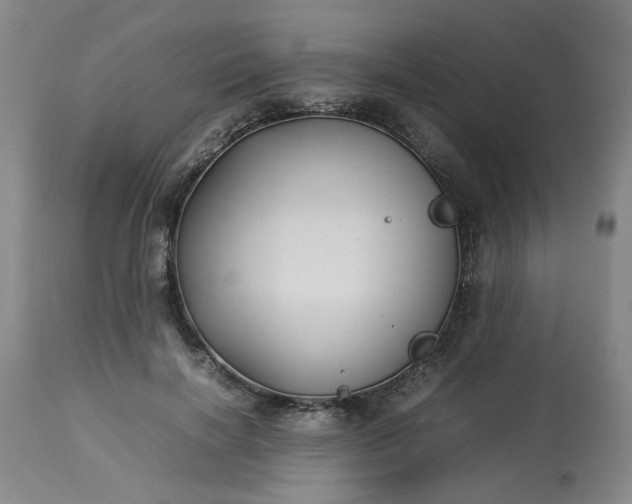 X0000113210646200909241425