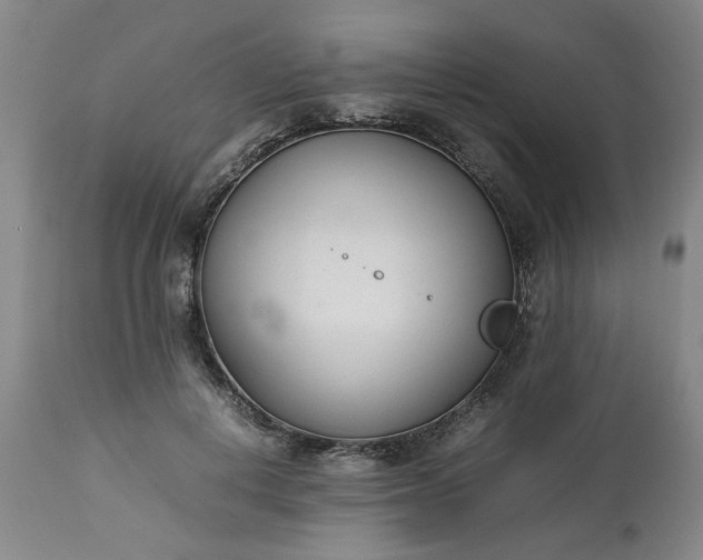 X0000113210648200909241425