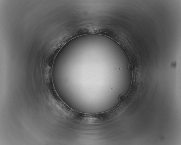 X0000113210650200909241425