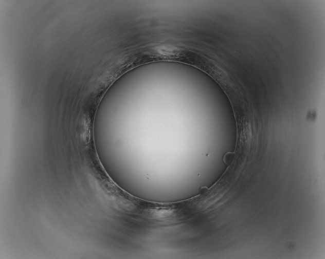 X0000113210651200909241425