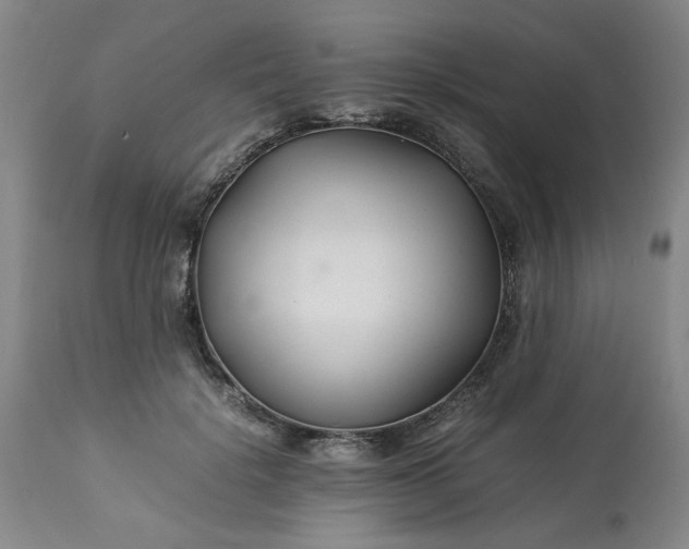 X0000113210652200909241425