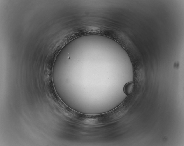 X0000113210653200909241425