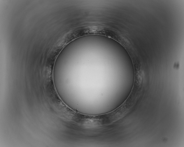 X0000113210657200909241425