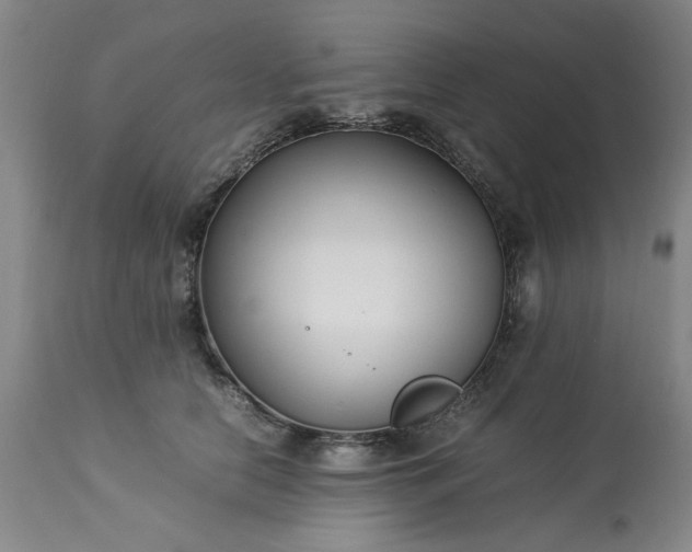 X0000113210658200909241425