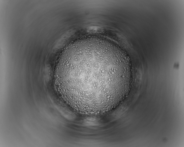 X0000113210659200909241425