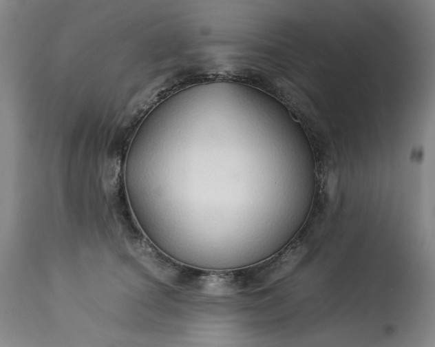 X0000113210660200909241425