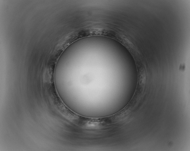 X0000113210661200909241425