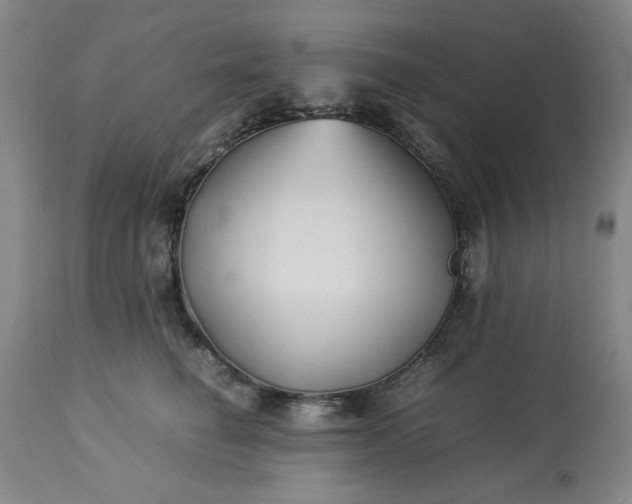 X0000113210662200909241425