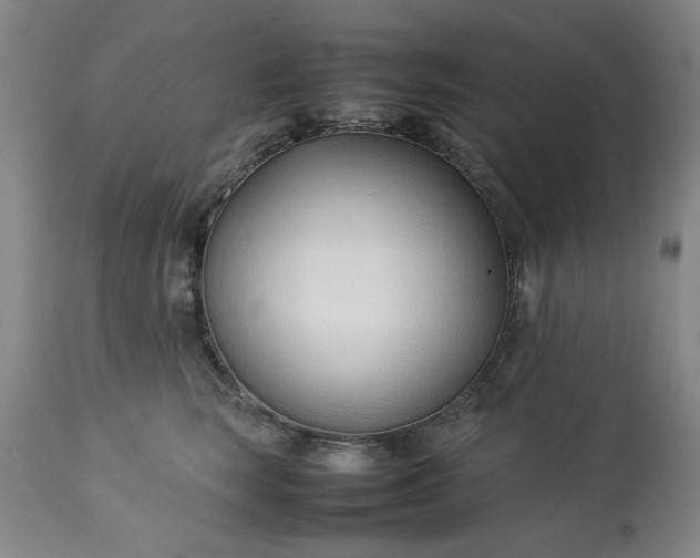 X0000113210663200909241425