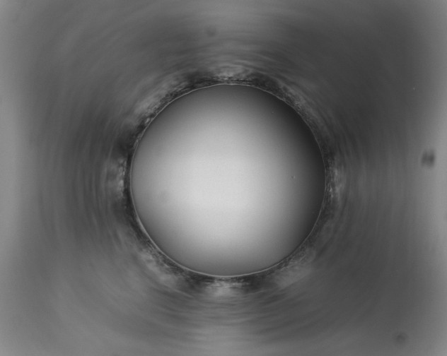 X0000113210664200909241425