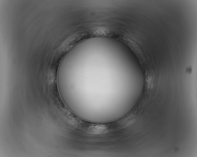 X0000113210665200909241425