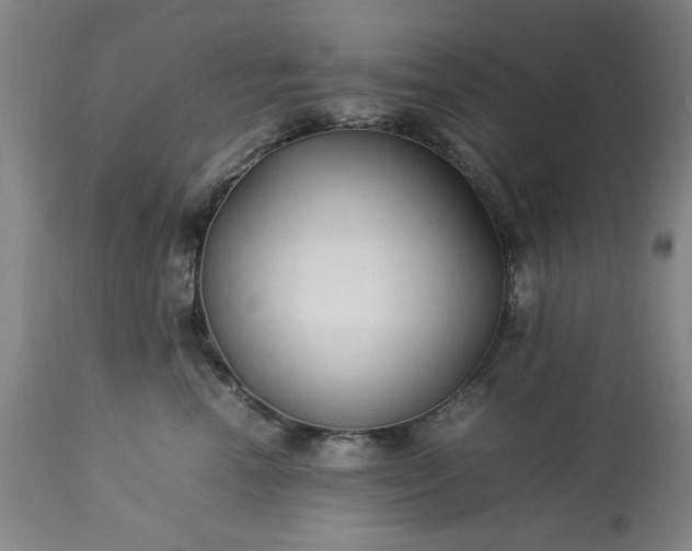 X0000113210666200909241425