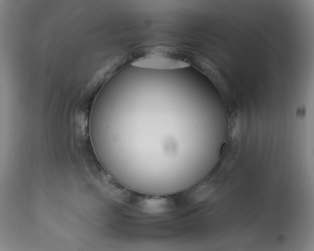 X0000113210669200909241425