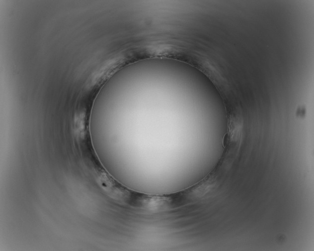 X0000113210670200909241425