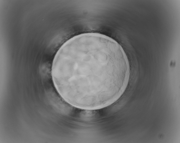 X0000113210672200909241425