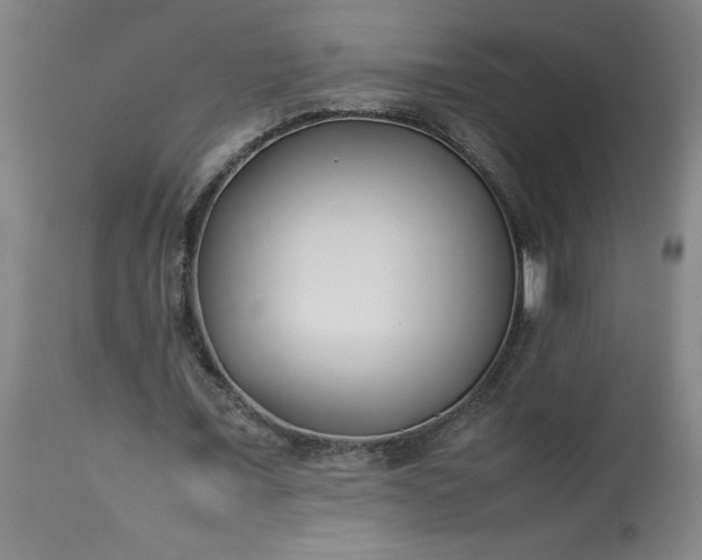 X0000113210675200909241424