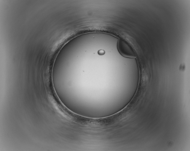 X0000113210677200909241424