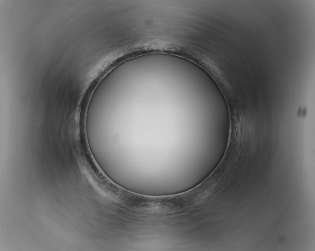 X0000113210678200909241424