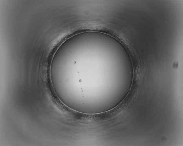 X0000113210679200909241424